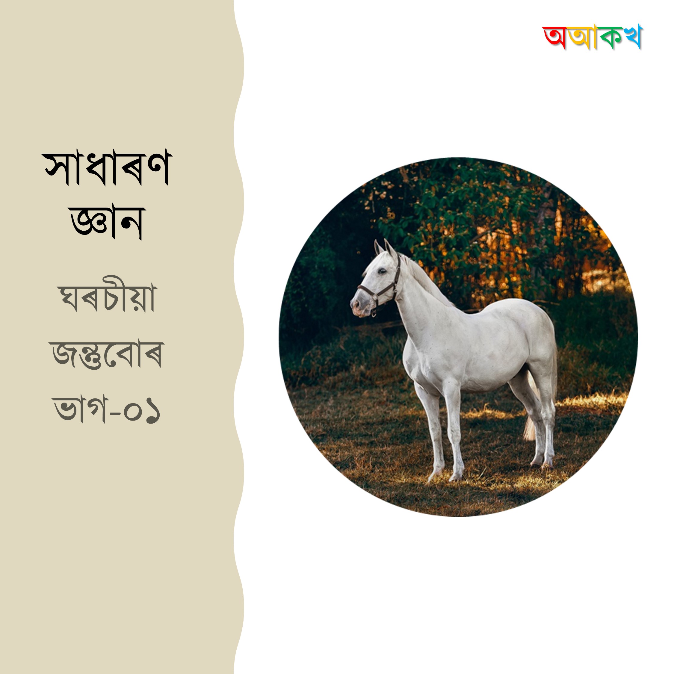 ঘৰচীয়া জন্তুবোৰ ভাগ ১