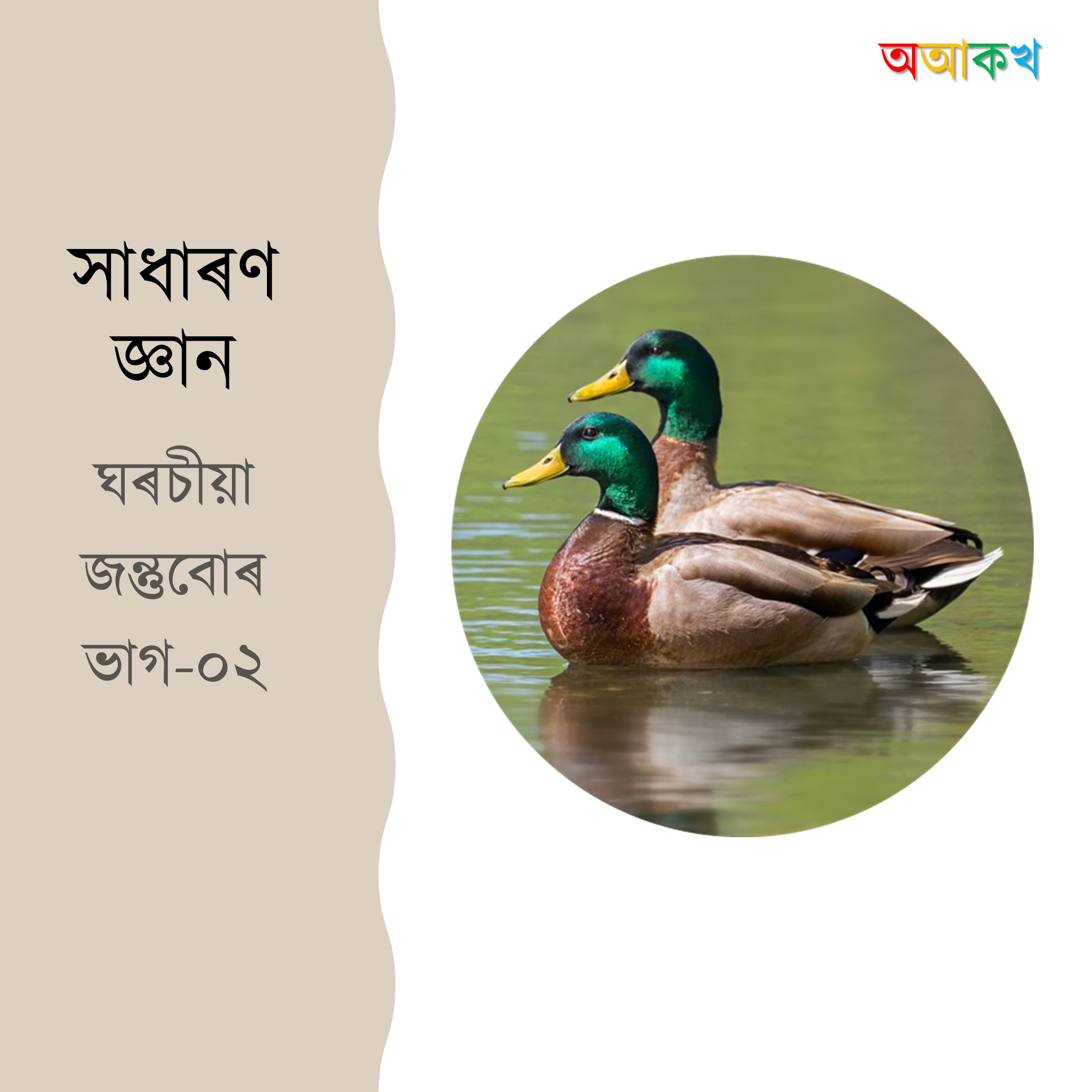 ঘৰচীয়া জন্তুবোৰ ভাগ ২