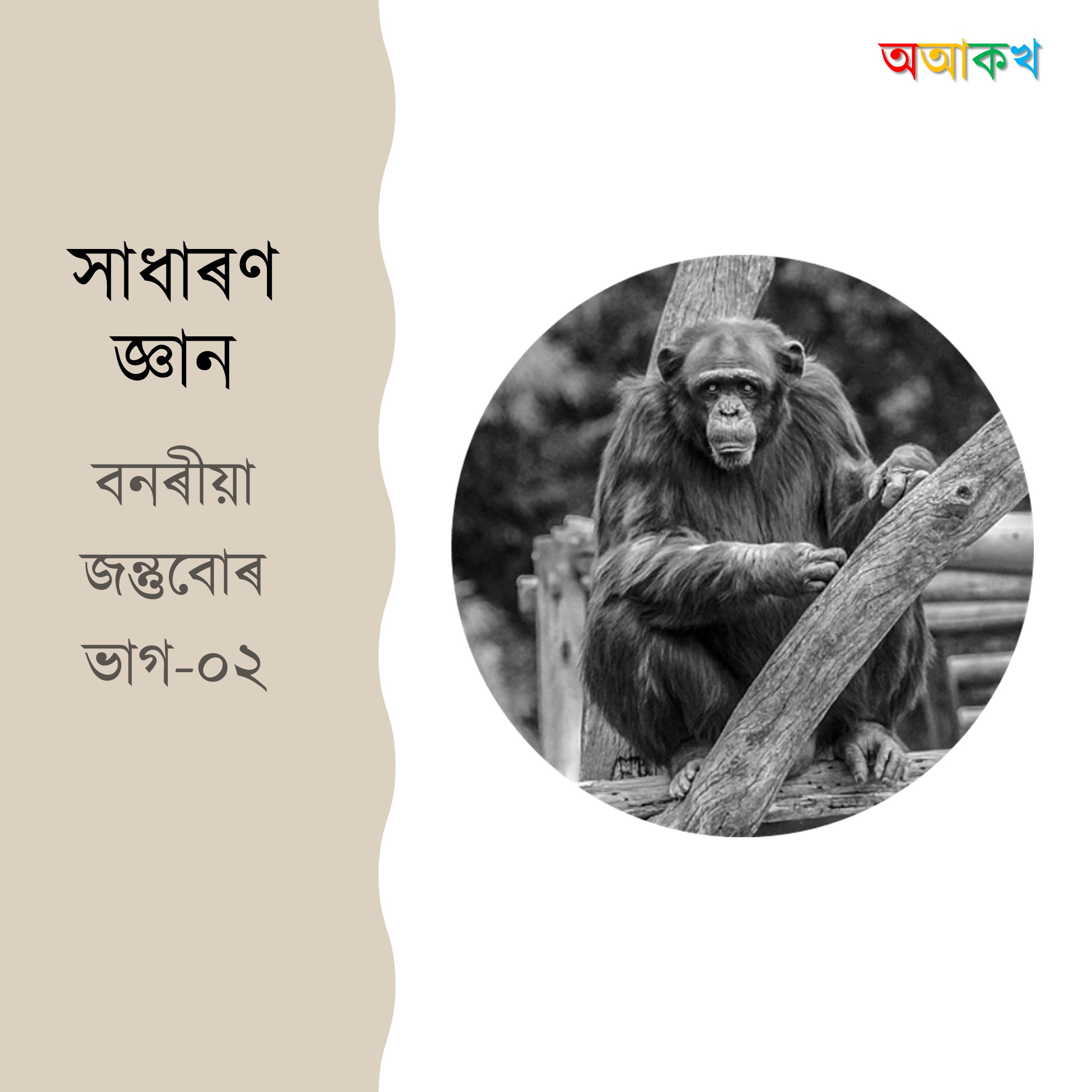 বনৰীয়া জন্তুবোৰ ভাগ ২