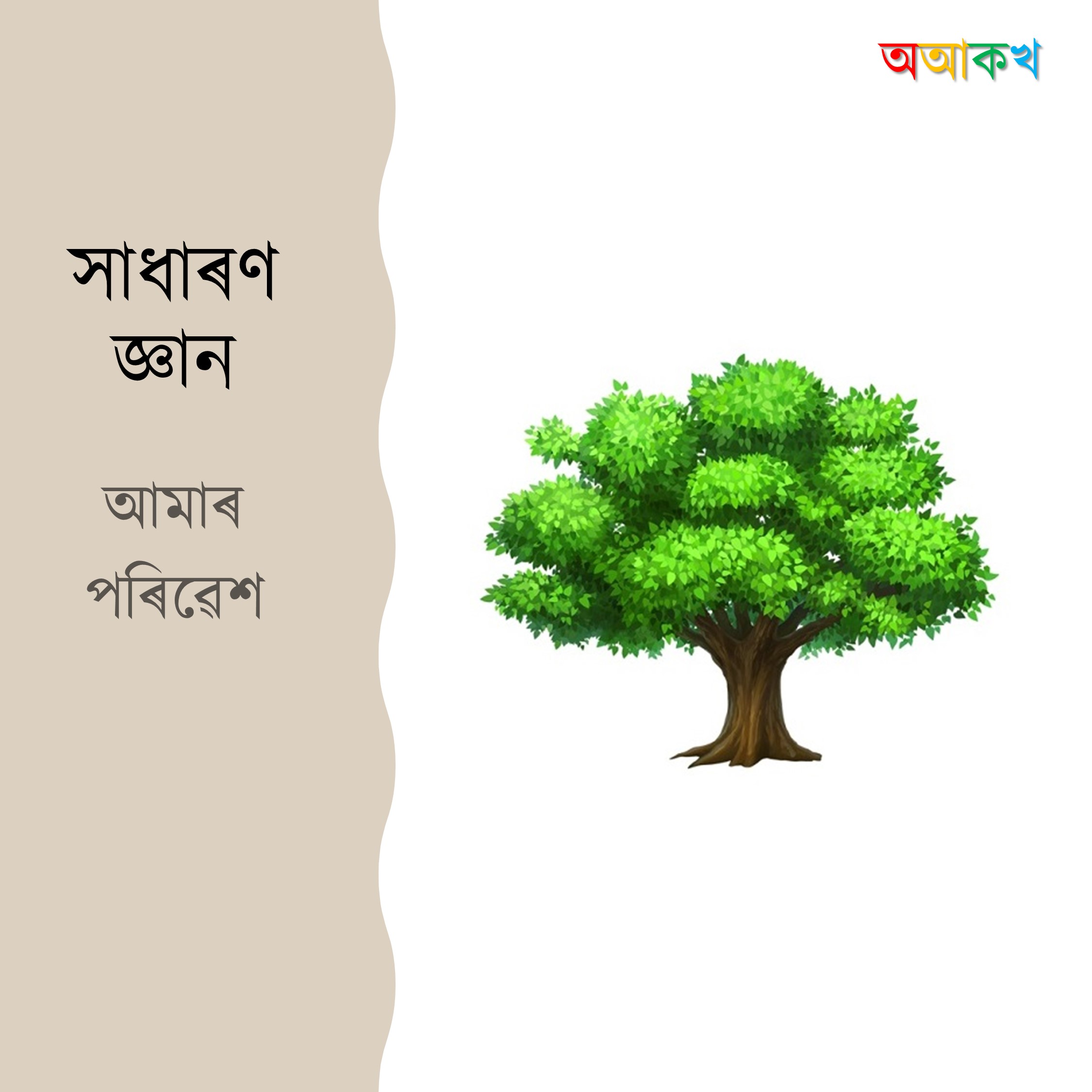 আমাৰ পৰিৱেশ