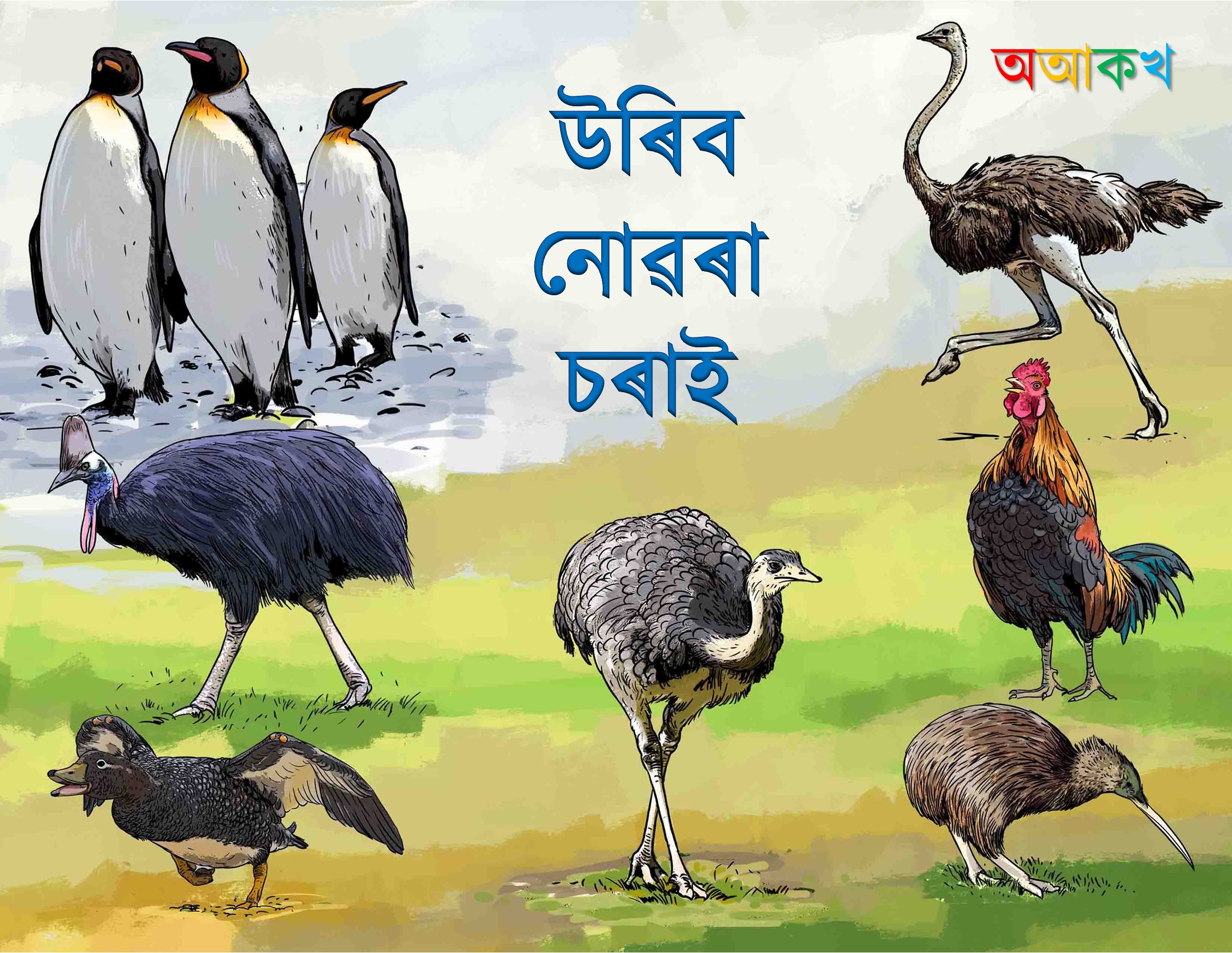 উৰিব নোৱৰা চৰাই